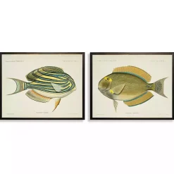 Acanthurus Fish Framed Art Prints, Set of 2