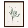 Astragalus Greenery Black Beaded Framed Art Print