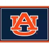 Auburn University Area Rug, 3x4