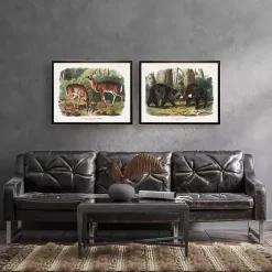 Audubon Woodland Bears Framed Art Print