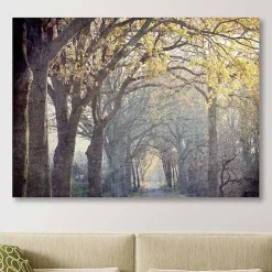 Avenue Of Trees Canvas Art Print