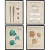 Baseball Patents Framed Art Prints