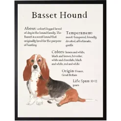 Basset Hound Facts Framed Wall Plaque