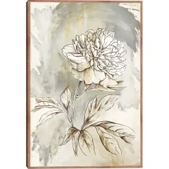 Beauty Within Framed Canvas Art Print