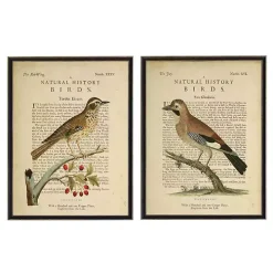 Birds Diagram I Framed Art Prints, Set of 2