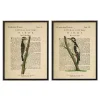 Birds Diagram II Framed Art Prints, Set of 2