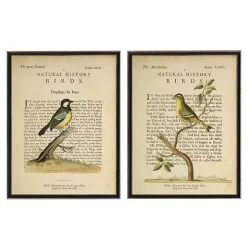 Birds Diagram III Framed Art Prints, Set of 2