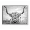 Black and White Framed Highland Cow Photograph