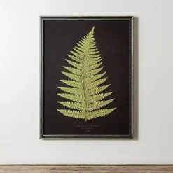 Black Fern IV Framed Art Print