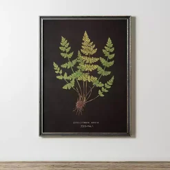 Black Fern V Framed Art Print