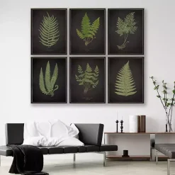 Black Fern V Framed Art Print