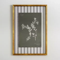 Botanical Stripes I Framed Art Print