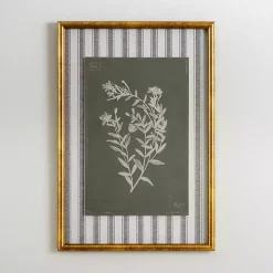 Botanical Stripes II Framed Art Print
