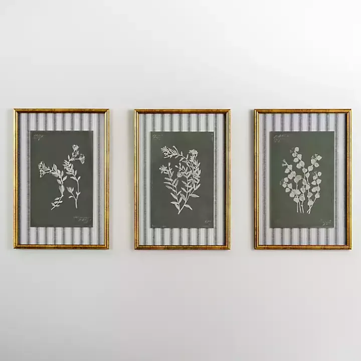 Botanical Stripes II Framed Art Print