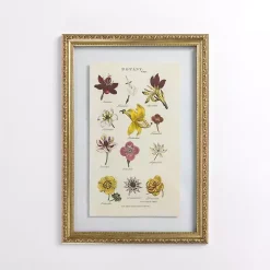 Botany Gold Framed Art Print