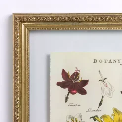 Botany Gold Framed Art Print