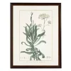 Bupleurum Greenery Black Beaded Framed Art Print