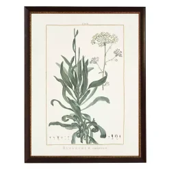 Bupleurum Greenery Black Beaded Framed Art Print