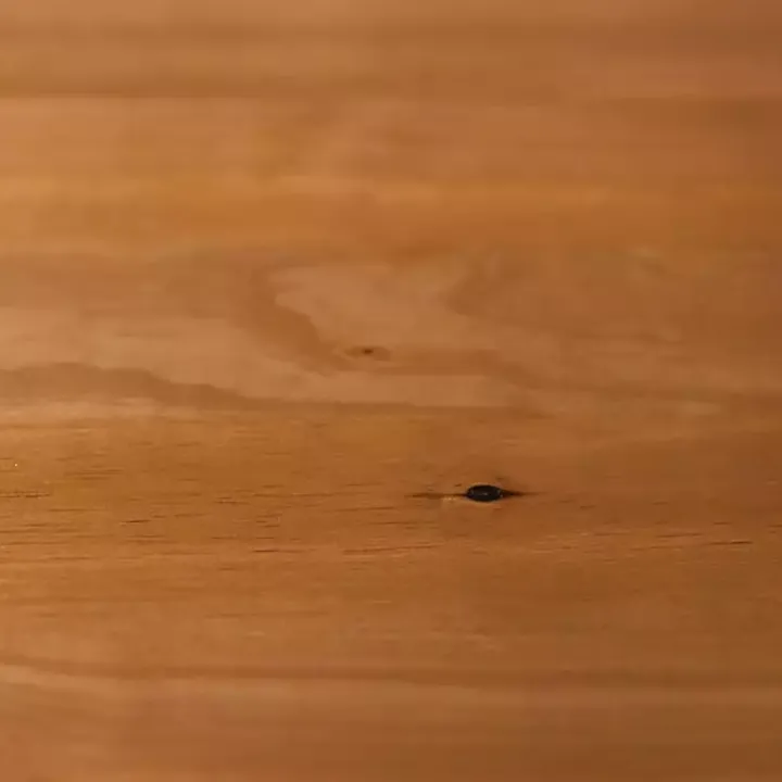 Caramel Wood Mid-Century Modern Nightstand