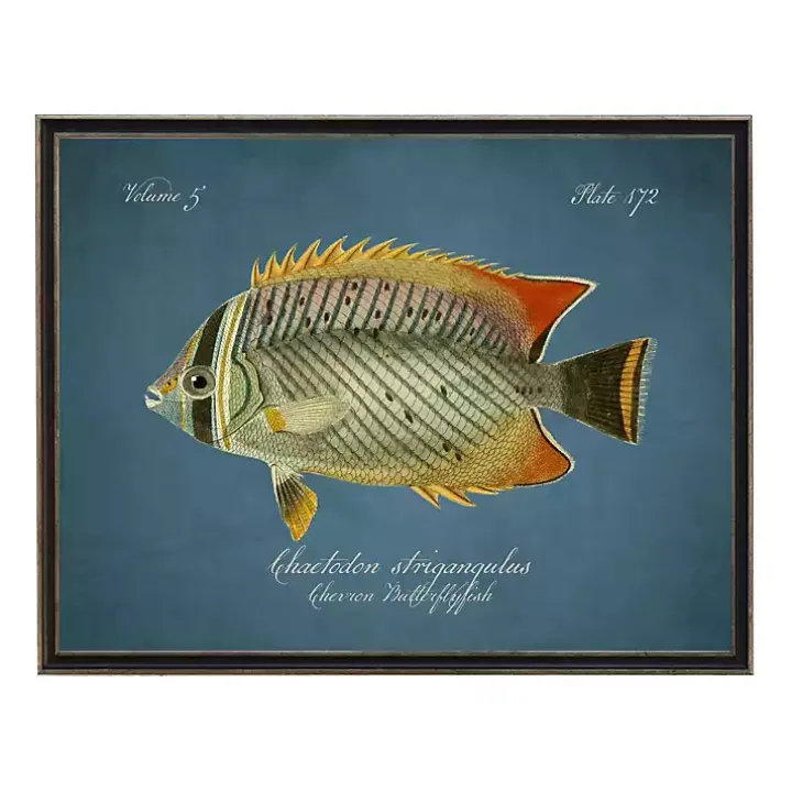 Chevron Butterflyfish Framed Wall Art