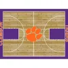 Clemson University Courtside Area Rug, 4x6