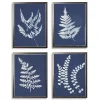 Cyanotype Ferns Framed Art Prints, Set of 4