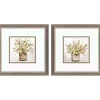 Earthy Garden Framed Art Prints, Set of 2