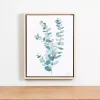 Eucalyptus Stem IV Framed Canvas Art Print