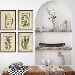 Fern Illustrations Framed Art Prints, Set of 4
