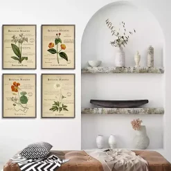 Flower Illustrations Framed Art Prints, Set of 4