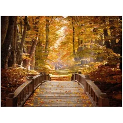 Forest Escape Giclee Canvas Art Print