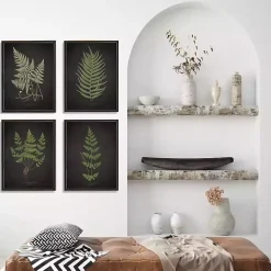 Four Ferns Framed Art Prints, Set of 4