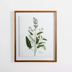 Golden Leaves Herbs Sage Framed Art Print
