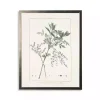 Greenery Botanical IV Pewter Framed Art Print
