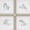 Herbs 4-pc. Gold Framed Art Print Set