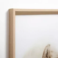 Horse Snuggle Framed Art Print