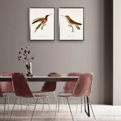 Hummingbirds I Framed Art Prints, Set of 2