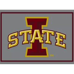 Iowa State University Area Rug, 4x6