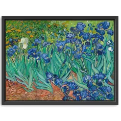 Irises Framed Canvas Art Print, 42x32 in.