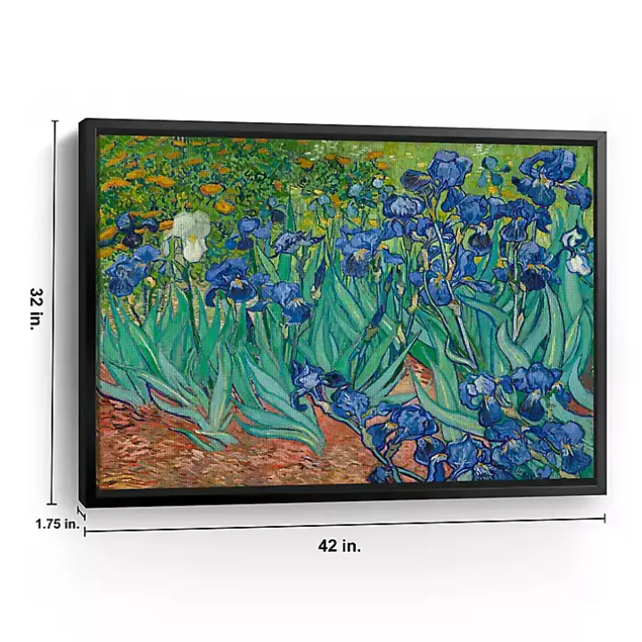 Irises Framed Canvas Art Print, 42x32 in.