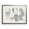 Jellyfish Collage Bronze Framed Art Print