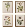 Martha Stewart Herb and Floral Framed Print Set