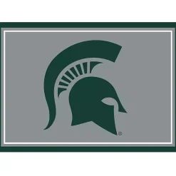 Michigan State University Area Rug, 3x4