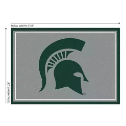 Michigan State University Area Rug, 3x4