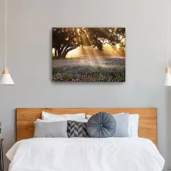 Morning Meadow Giclee Canvas Art Print, 40x30 in.