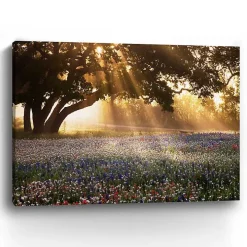 Morning Meadow Giclee Canvas Art Print, 40x30 in.
