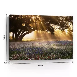 Morning Meadow Giclee Canvas Art Print, 48x36 in.