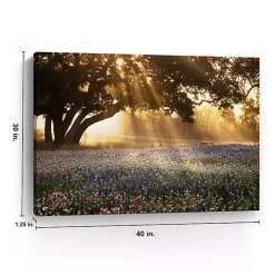 Morning Meadow Giclee Canvas Art Print, 40x30 in.