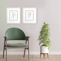 Olive Leaves Framed Art Prints, Set of 2