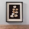 Pressed Leaves II Framed Art Print